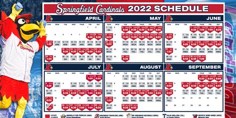 Springfield cardinals schedule - Registration is just $99 on top of your Membership costs. Space in the Promo Club is limited, so don't wait! Give us a call at (417) 863-0395 or e-mail our Manager of Ticket Sales, Eric Tomb at ...